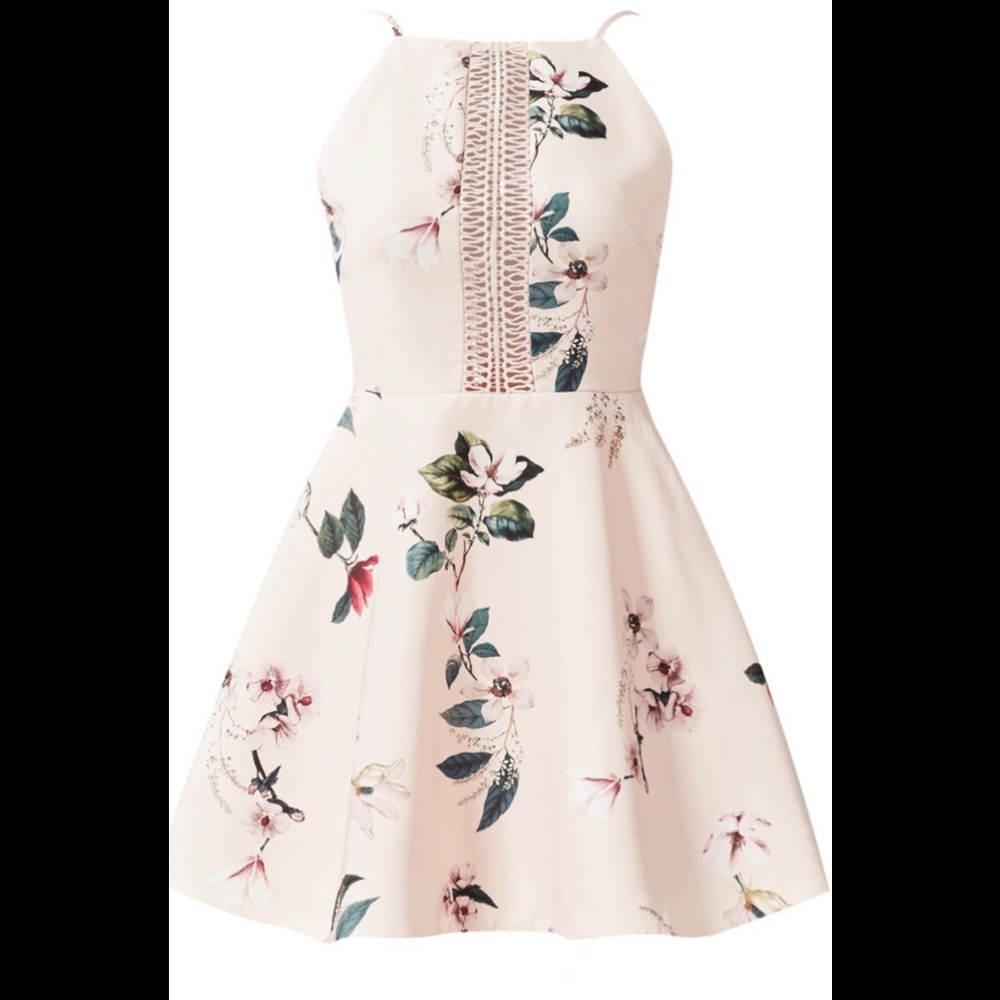 Keepsake Spring Dress